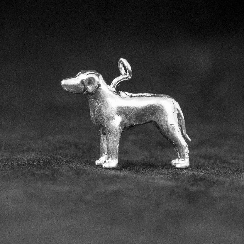 Ein Anhänger Aus Rhodesian Ridgeback, Sterlingsilber von DogCharms