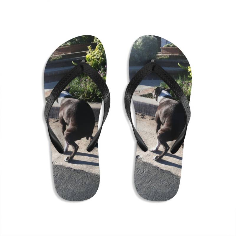 Sammy Dump Flip Flops Sammy Dump Flip Flops von DogsTakingDumps