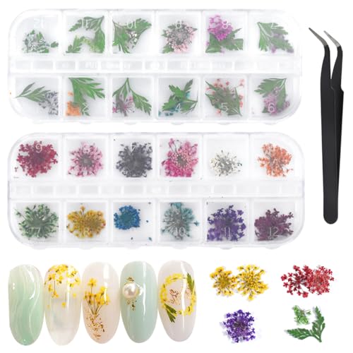 Dokeno 2 Schachteln Nagel Getrocknete Blume 24 Farben Getrocknete Blüten Nail Sticker 3D Natürliche Getrocknete Blumen Grüne Blätter Set Nail Art Dekoration Zubehör Set mit Gebogener Pinzette von Dokeno