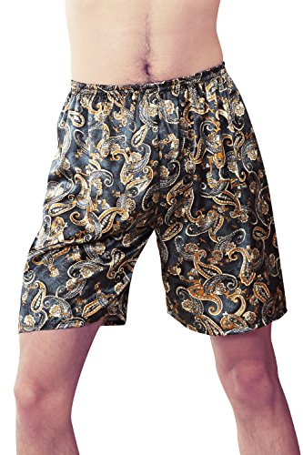 Dolamen Herren Schlafanzughose Hose Shorts kurz, 2 Stück Herren Satin unterwäsche Boxershorts Nachtwäsche Trunk Pyjamahose Bottoms elastischem Bund zum Schlafen Freizeit (Large, Blauer See) von Dolamen