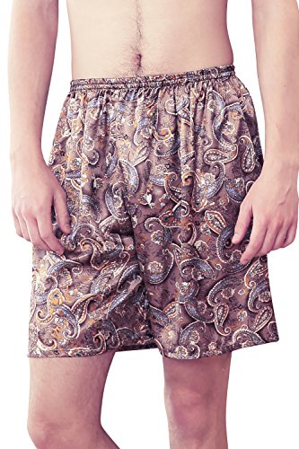 Dolamen Herren Schlafanzughose Hose Shorts kurz, 2 Stück Herren Satin unterwäsche Boxershorts Nachtwäsche Trunk Pyjamahose Bottoms elastischem Bund zum Schlafen Freizeit (Large, Braun) von Dolamen