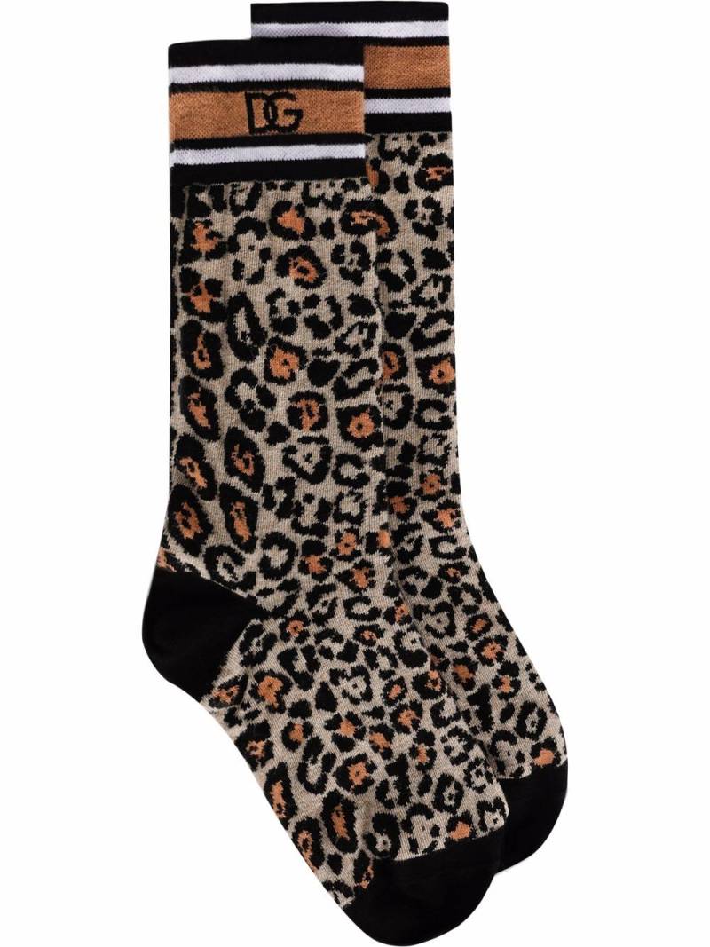 Dolce & Gabbana Socken mit Leoparden-Print - Braun von Dolce & Gabbana