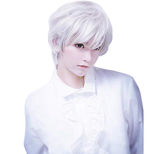 Cosplay Perrücke Herren Damen Wig Weiße Perücke Halloween Cospay Party Perücken Kurz Perücke Wig Kurz Gerade (White, One Size) von DolceTiger