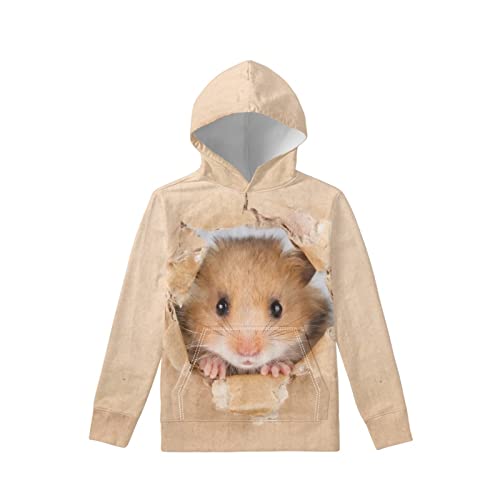 Dolyues Casual Hoodies Sweatshirts Regular Fit Langarm Kapuzenpullover mit Tasche für Kinder, Hamster, 12-13 Jahre von Dolyues