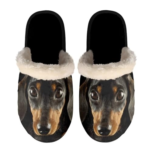 Dolyues Gemütliche Hausschuhe aus Memory-Schaum für Damen und Herren, warme Hausschuhe, Schlupfsandalen, 3D-Dackel, X-Large von Dolyues