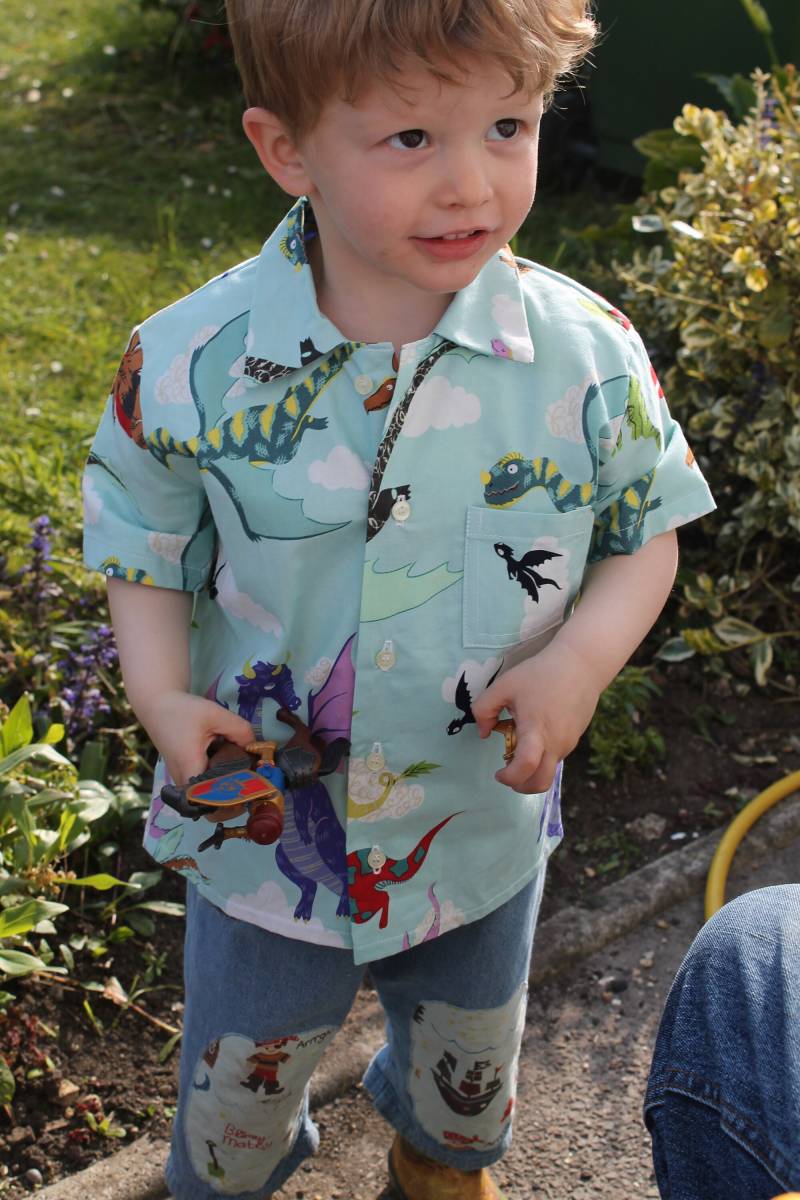 Drachenzähmen Leicht Gemacht T-Shirt, Grösse 3-4 Jahre. Geschenkidee, Freizeit - Oder Anlasskleidung. Welttag Des Buches von DottyBirdKidsClothes