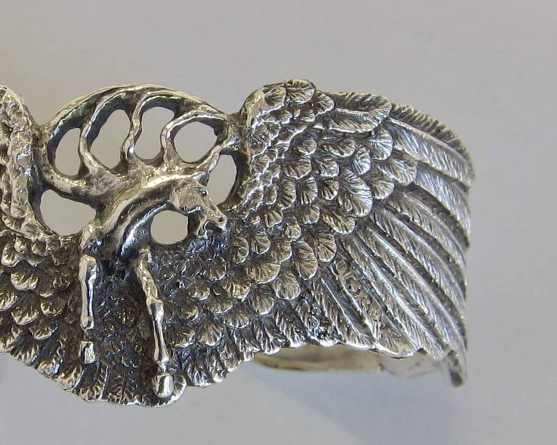 Geflügeltes Pferd Pegasus Zu Allem Fähig von DouglasRandallDesign