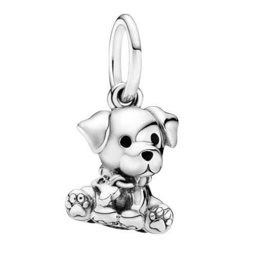 Doyafer 925 Sterling Silber Tier Anhänger Charm Anhänger Charms Set Haustier Hund für Frauen-Armband-Halskette Geschenk von Doyafer