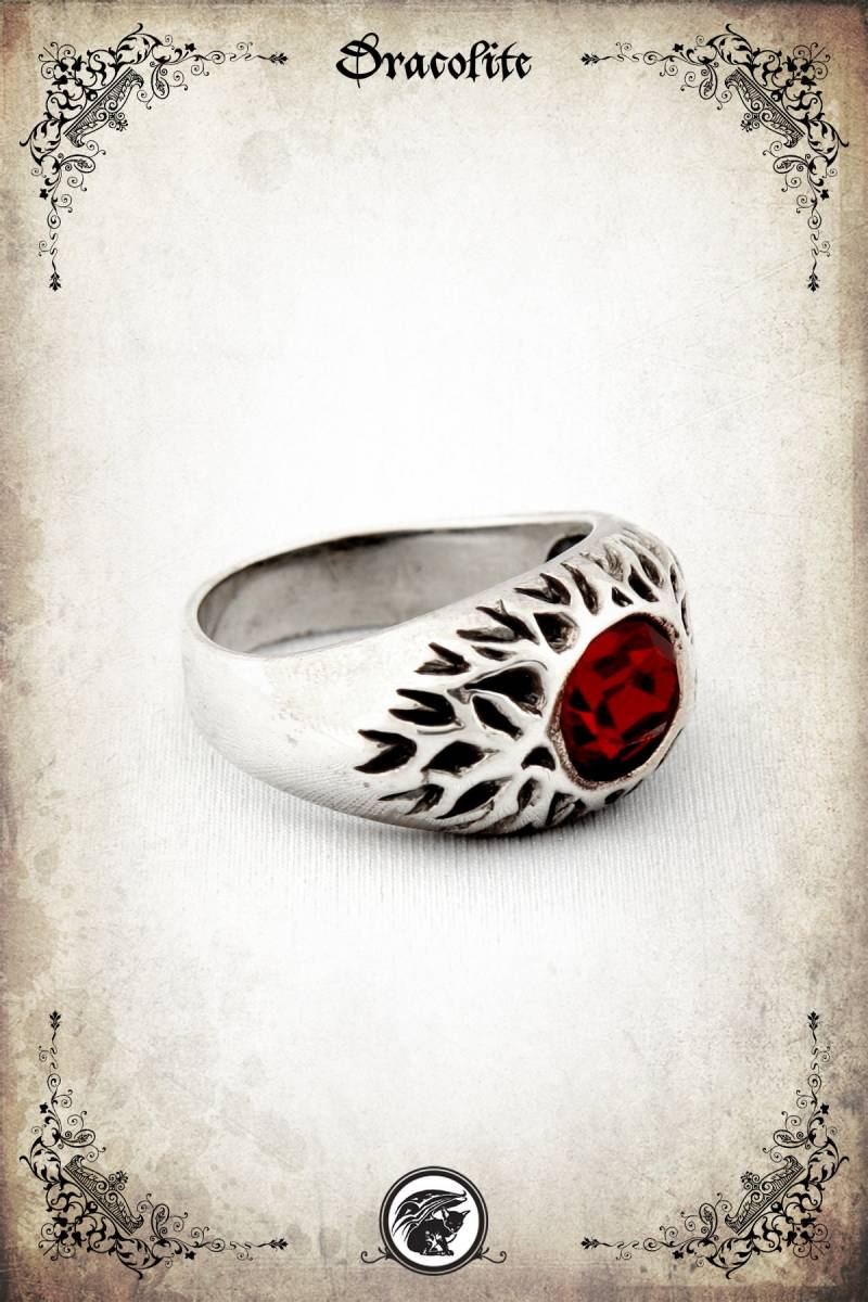 Verfassungsring Mittelalter Ring - Sterling Silber 925 von Dracolite