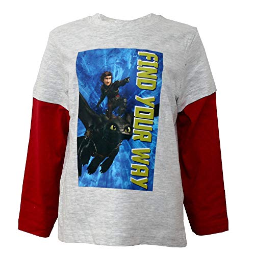 Dragons Jungen Langarmshirt Größe 104-140 | Drachenzähmen leicht gemacht, Größe:110, Farbe:Grau von Dragons