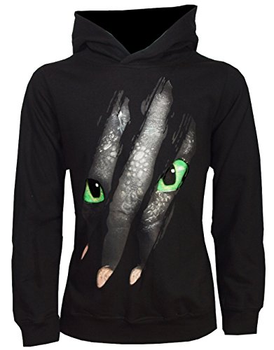 Dragons Unisex Kinder DreamWorks Hoodie Kapuzenpullover, Schwarz, Der Größe entsprechend von Dragons