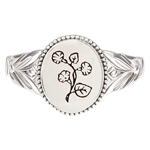Drawelry Sterling Silber Ringe mit Geburt Monat Blumen für Damen Handgemachter Schmuck Ring Hochzeitstag Anniversary Versprechen Verlobung Geburtstag Geschenk (T, 7.0) von Drawelry