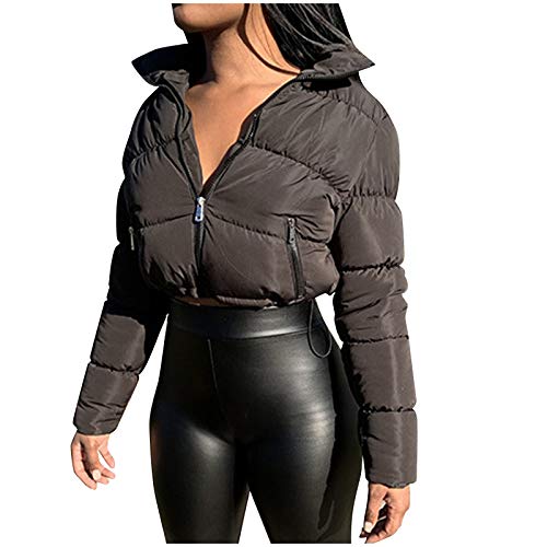 Damen Puffer Jacke Einfarbige Winterjacke Warm Stehkragen Übergangsjacke Frauen Glänzend Daunenjacke Kurz Geschnitten Wattierte Steppjacke Jacke Female Baumwolljacke Mantel Herbst Outdoorjacke von Dream Room