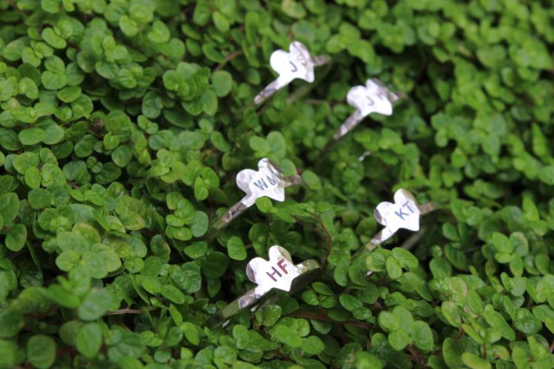 5 Brautjungfer Geschenk Ringe - Personalisierte Initialen von DreamingTreeCreation