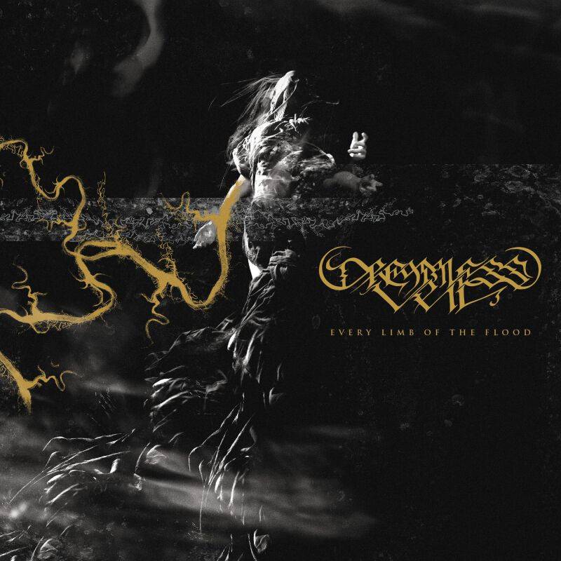 Dreamless Veil Every limb of the flood CD multicolor von Dreamless Veil