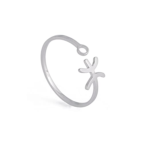 Dreamtimes Edelstahl Sternzeichen Ringe für Frauen 12 Sternzeichen Offener Ring Widder Löwe Jungfrau Zwillinge Waage Fische Skorpion Geburtstagsgeschenk (Fische) von Dreamtimes