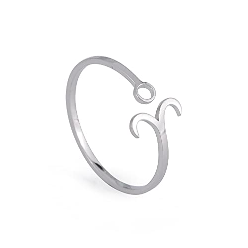 Dreamtimes Edelstahl Sternzeichen Ringe für Frauen 12 Sternzeichen Offener Ring Widder Löwe Jungfrau Zwillinge Waage Fische Skorpion Geburtstagsgeschenk (Widder) von Dreamtimes