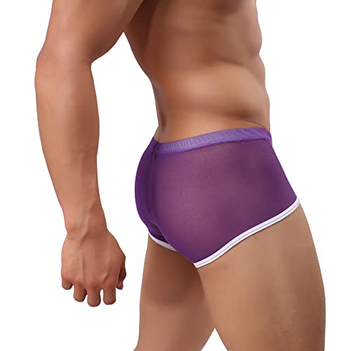 Drelaar Herren Bequeme Seidig Unterwäsche Trunks Sexy Durchscheinend Boxershorts, violett, L von Drelaar