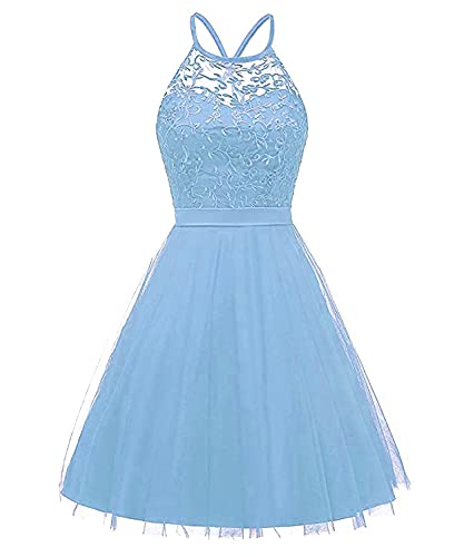 Dresses Onlie Damen Halfter Abendkleider Kurz Ballkleider Appliques Cocktailkleider Abschlusskleid Retro Rockabilly Kleid (Hellblau,36) von Dresses Onlie