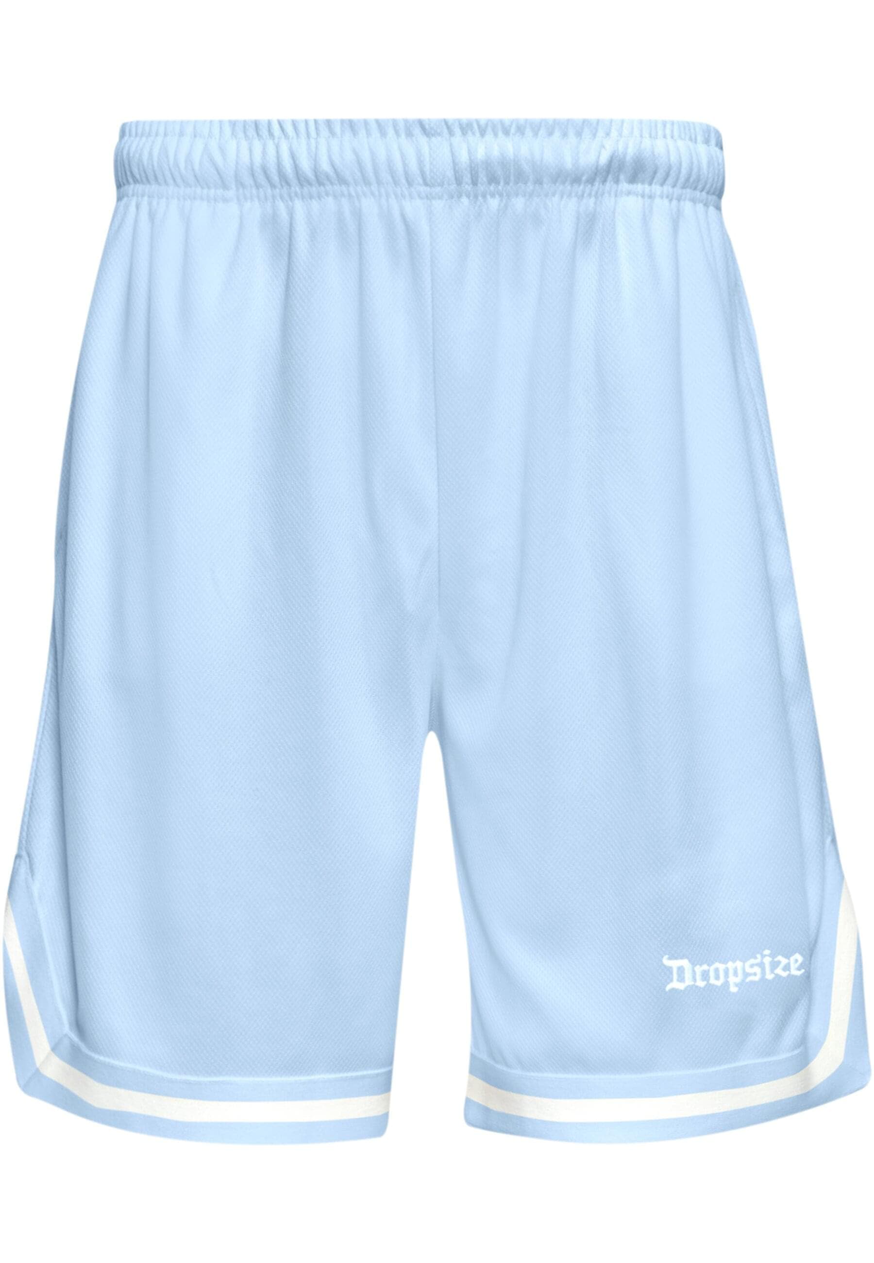 Dropsize Shorts "Dropsize Herren Dropsize Logo Mesh Shorts" von Dropsize