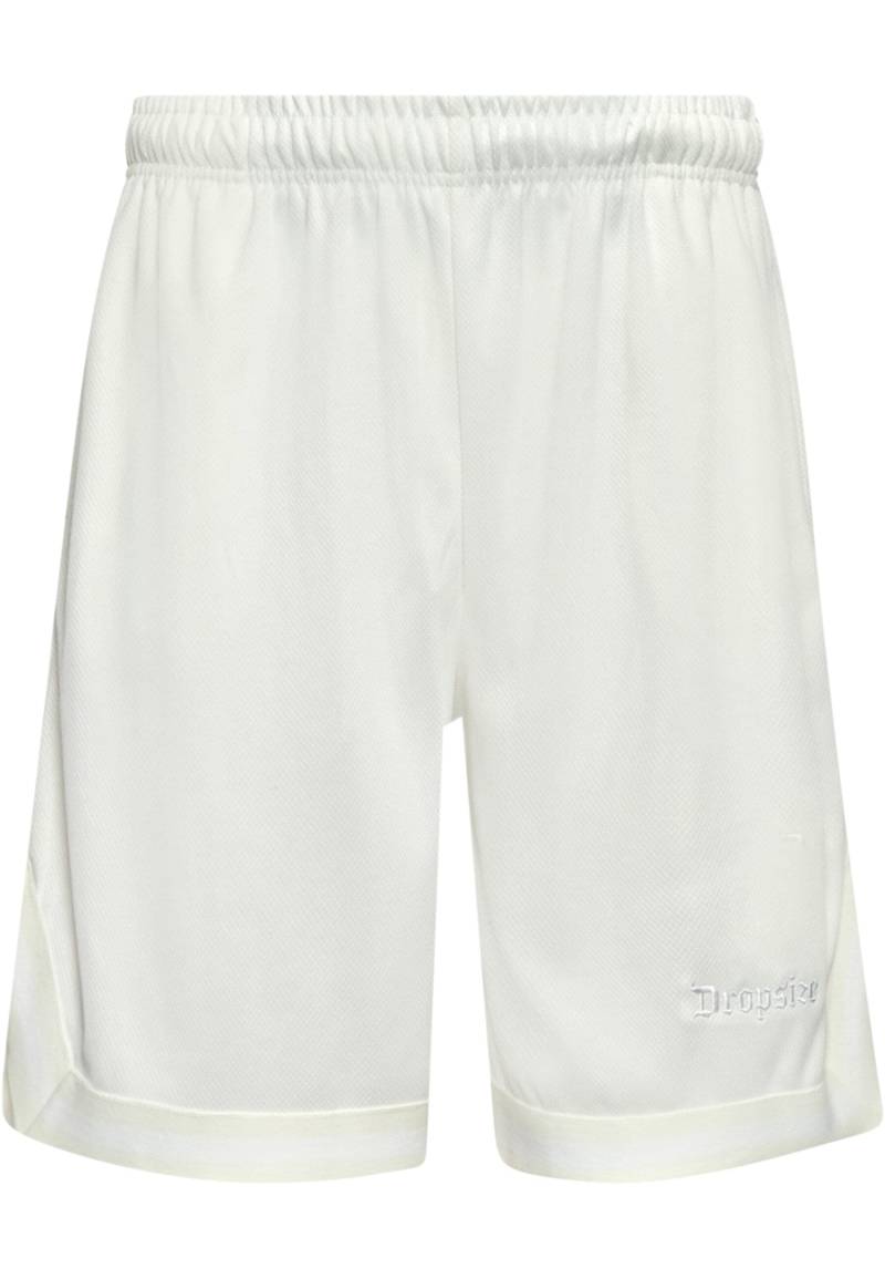 Dropsize Shorts "Dropsize Herren Dropsize Logo Mesh Shorts" von Dropsize