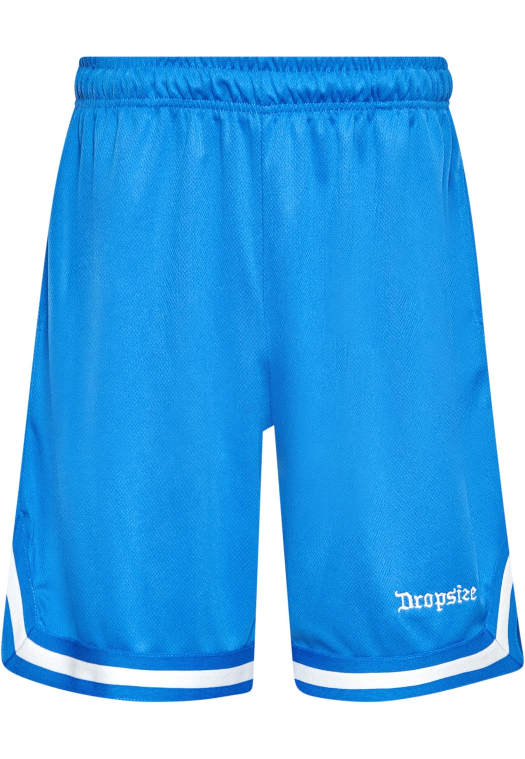 Dropsize Shorts "Dropsize Herren Dropsize Logo Mesh Shorts" von Dropsize
