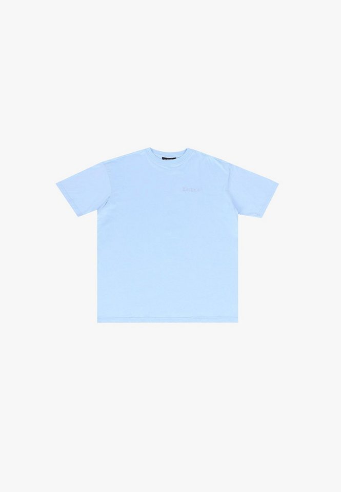 Dropsize T-Shirt Dropsize REGULAR FIT T-SHIRT (1-tlg) von Dropsize