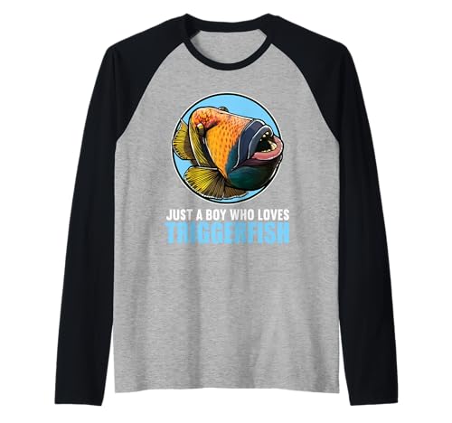 Herren Drückerfische Drückerfisch Raglan von Drückerfische Drückerfisch Tier Shop