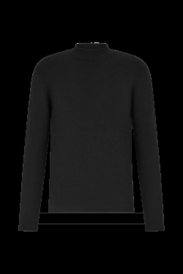 Drykorn Strickpullover Strickpullover Aronimo - Regular Fit von Drykorn