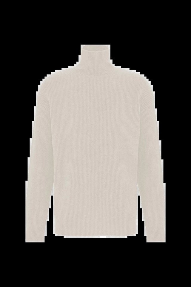 Drykorn Strickpullover Rollkragenpullover Mason - Regular Fit von Drykorn
