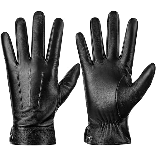 Dsane Winter Echtes Schafsleder Handschuhe für Männer, Warm Touchscreen Texting Kaschmir gefüttert Autofahren Motorrad Handschuhe (Schwarz, M) von Dsane