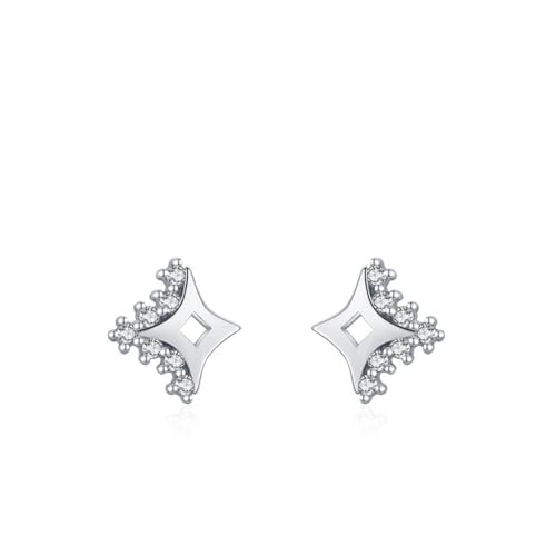 925 Silber Ohrringe Stecker, Ohrringe Silber Elegant Stern Zirkonia Runde Form Damen Schmuck von Dsnyu