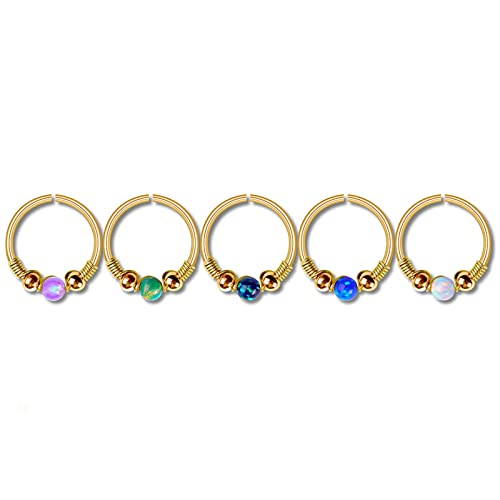 Dsnyu 5 Pcs Herren Piercing Nase Ring, Frauen Nase Ringe Hoops, Edelstahl Modisch Gold Nasenloch Ohren Hoop Ring Rund Form mit Opal Dsnyu 5 Pcs Herren Piercing Nase Ring, Frauen Nase Ringe Hoops, Edelstahl Modisch Gold Nasenloch Ohren Hoop Ring Rund Form mit Opal von Dsnyu