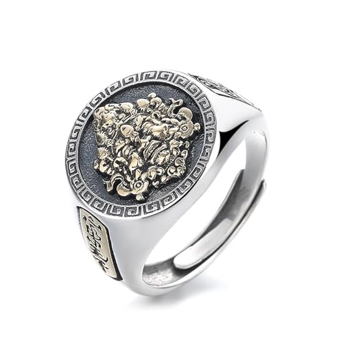 Dsnyu Ringe Frauen 925 Silber, Eheringe Breit Vintage Verstellbar Silber Schmuck Geburtstagsgeschenk von Dsnyu