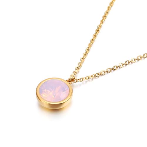 Halskette Lang Pink, Necklace Women Friends Edelstahl Rund mit Zirkonia Anhänger Kabel Kette Damen Schmuck Jahrestag Geschenk für Sie von Dsnyu