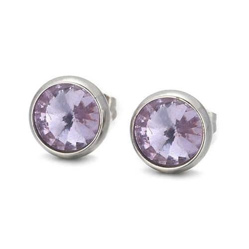 Ohrringe Stecker Damen, Zirkonia Ohrringe Edelstahl mit Rundem Stein Silberviolett Schmuck Jahrestag Geschenk von Dsnyu