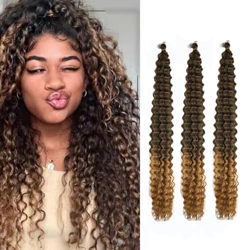 Ocean Wave Synthetische Crochet Haar 24 Zoll Curl Flechten Haarverlängerung Ombre Farbe Boho Zöpfe Haar für Frauen 3 Packs von Dsoar