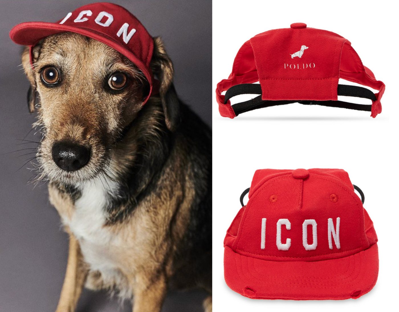 Dsquared2 Baseball Cap DSQUARED2 X POLDO X D2 OTTOWA PETS ICON Baseball Cap Hat Mütze Pet Col von Dsquared2