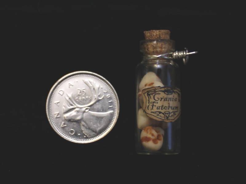 Crania Fatorum | Feenschädel Anhänger von DunravenDesigns