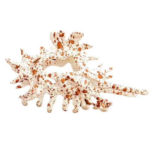 Duroecsain Muschelhaarklammer,Rutschfeste Haarspange | Dekorative Muschelspange Für Frauen, Hochzeit, Sport, Urlaub, Party Duroecsain Muschelhaarklammer,Rutschfeste Haarspange | Dekorative Muschelspange Für Frauen, Hochzeit, Sport, Urlaub, Party von Duroecsain