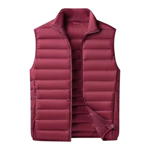 Softshell Weste Damen Langarm, Daunenweste Damen Winter Sportlich Reißverschluss Winterweste Pufferweste Ärmellose Lederweste Daunenweste Gefüttert Warm Softshellweste Steppweste von Dwevkeful