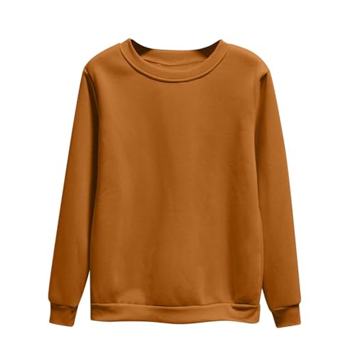 Dyhxuan Pullover Damen Einfarbig Vielseitig Sweatshirt Ohne Kapuze Große Größen Basic Langarmshirt Autumn Winter Langarm Oberteile Casual Rundhals Pulli Shirt Leicht Longsleeve Tops für Frauen M-4XL von Dyhxuan