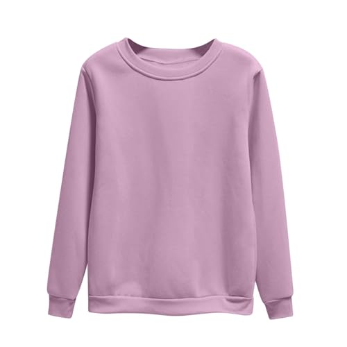 Dyhxuan Pullover Damen Einfarbig Vielseitig Sweatshirt Ohne Kapuze Große Größen Basic Langarmshirt Autumn Winter Langarm Oberteile Casual Rundhals Pulli Shirt Leicht Longsleeve Tops für Frauen M-4XL von Dyhxuan