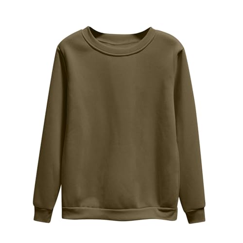 Dyhxuan Pullover Damen Einfarbig Vielseitig Sweatshirt Ohne Kapuze Große Größen Basic Langarmshirt Autumn Winter Langarm Oberteile Casual Rundhals Pulli Shirt Leicht Longsleeve Tops für Frauen M-4XL von Dyhxuan