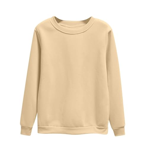 Dyhxuan Pullover Damen Einfarbig Vielseitig Sweatshirt Ohne Kapuze Große Größen Basic Langarmshirt Autumn Winter Langarm Oberteile Casual Rundhals Pulli Shirt Leicht Longsleeve Tops für Frauen M-4XL von Dyhxuan