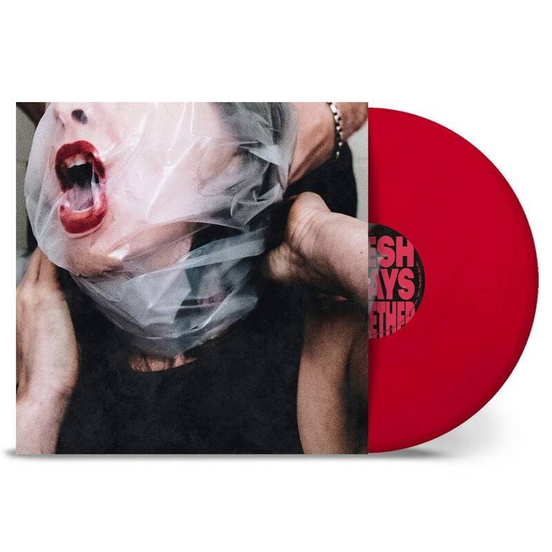 Dying Wish Flesh stays together LP multicolor von Dying Wish