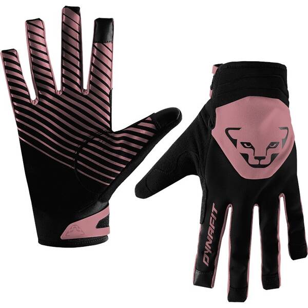 DYNAFIT Herren Handschuhe RADICAL 2 SOFTSHELL von Dynafit