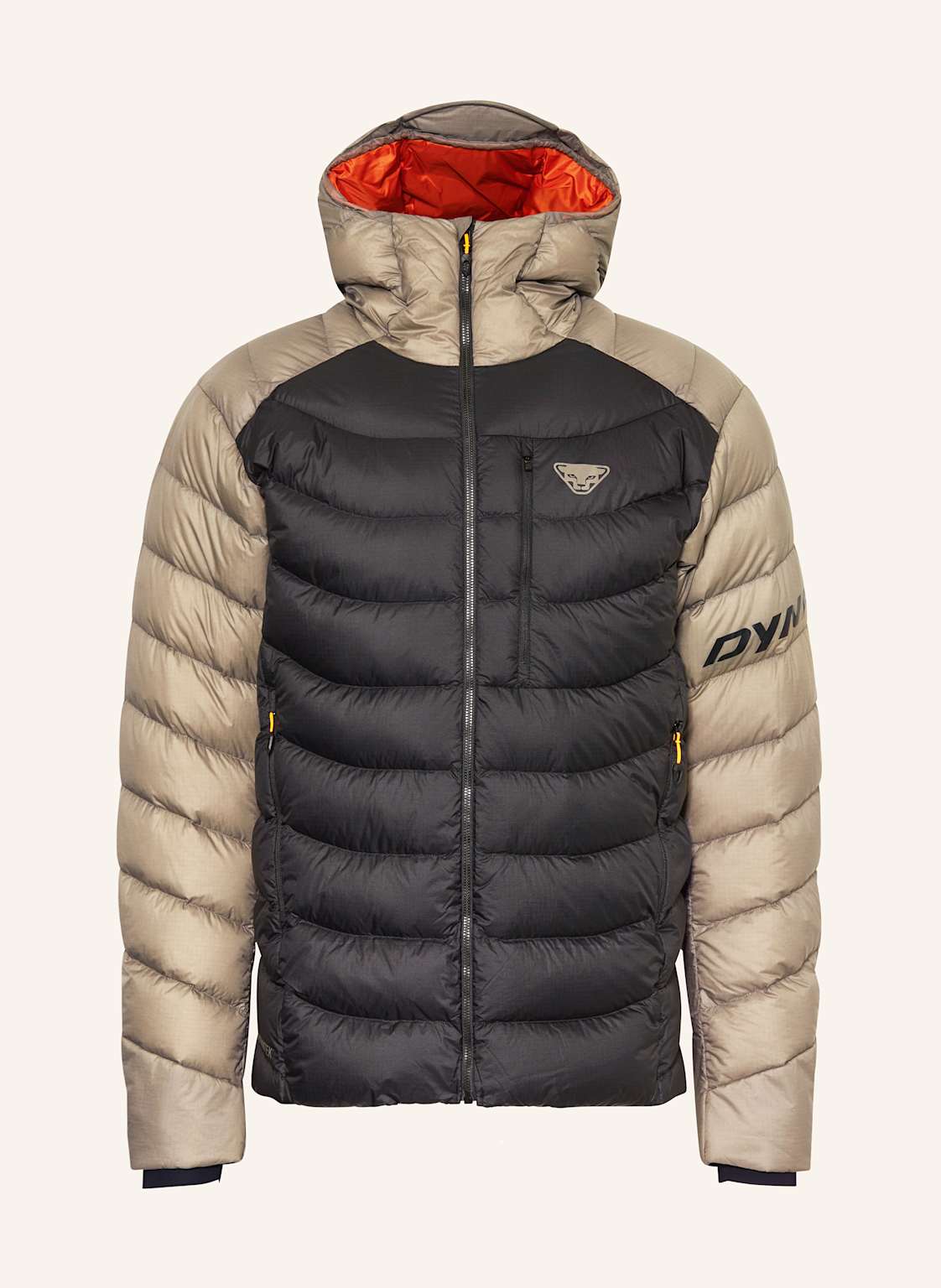 Dynafit Daunenjacke Tigard Down Rds schwarz von Dynafit