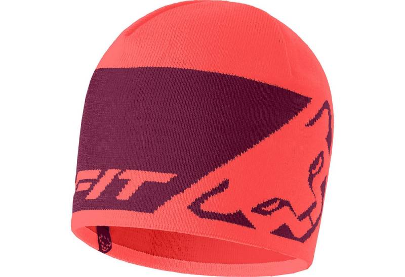 Dynafit Outdoorhut Cap LEOPARD LOGO BEANIE von Dynafit