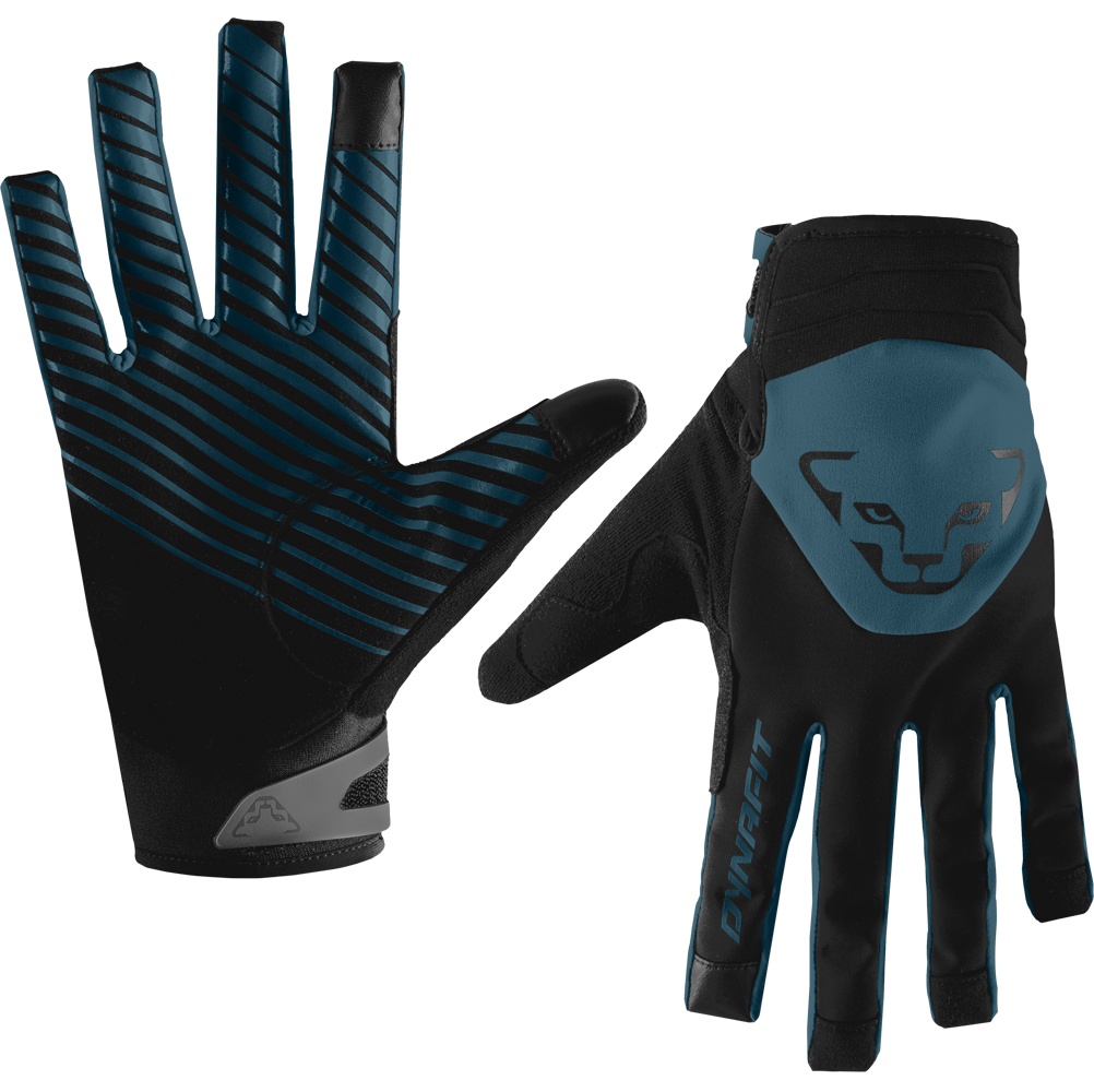 Dynafit Radical Softshell Handschuhe storm blue XL Dynafit Radical Softshell Handschuhe storm blue XL von Dynafit